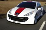 Peugeot 207 RCup 2006 года